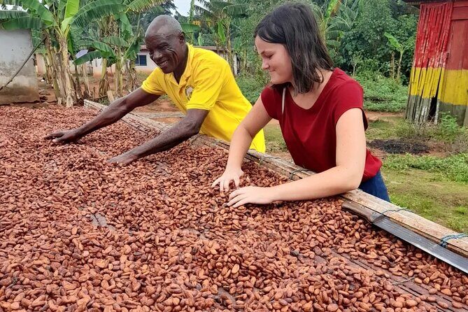 1 Day cocoa farm tour - FAQ