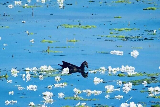 1-Day Dali Erhai Sightseeing Tour - FAQ