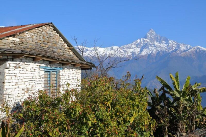1-day-dhampus-trek