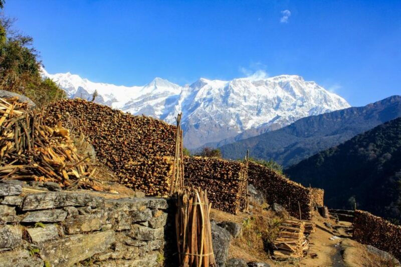 1-day-dhampus-trek
