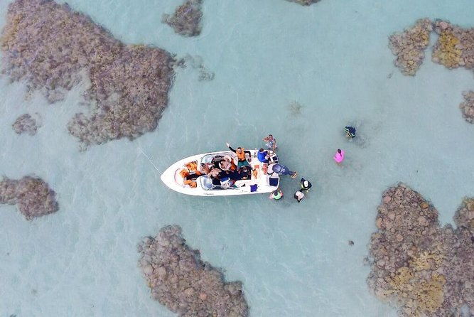 1-day-diving-tour-in-perobas-rn-leaving-from-natal
