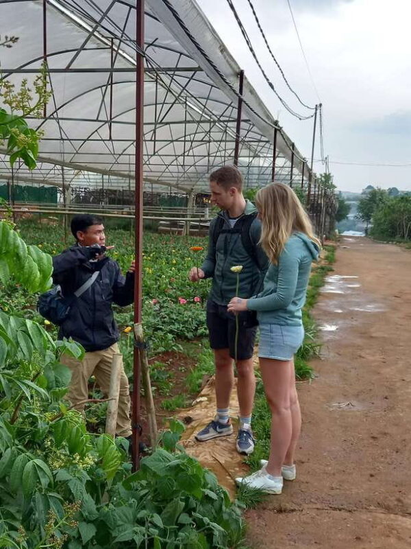 1 Day Easy Rider Tour in DalatVillages, Farms & Waterfalls - What You Can Expect from the Tour