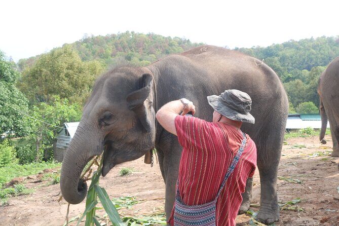 1 Day Eco Elephant Excursion - What Reviewers Said