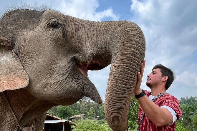 1 Day Eco Elephant Excursion - The Value Equation