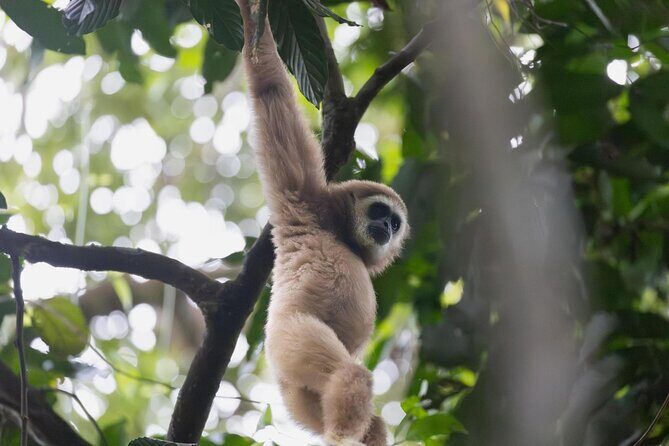 1 Day Ethical Jungle Trek in Bukit Lawang at Sumatra - The Itinerary in Detail