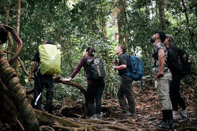 1 Day Ethical Jungle Trekking - Practical Details and Tips