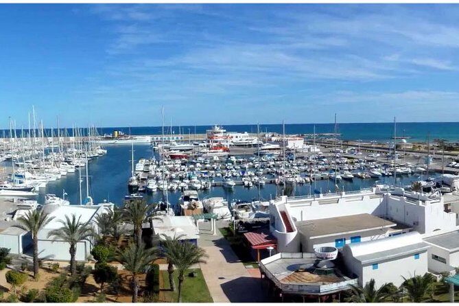 1 day excursion Tunis Sidi Bousaid Carthage departure from Sousse - Who Is This Tour Best Suited For?