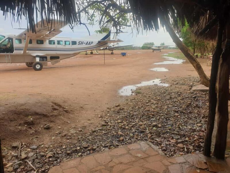 1 Day Fly in Safari Zanzibar Nyerere National Park - Key Points