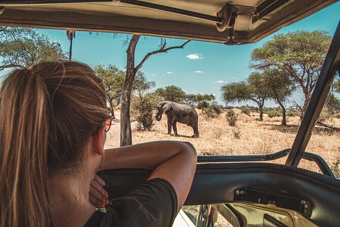 1-Day Fly in Shared Safari to Mikumi National Park from Zanzibar - The Itinerary in Detail