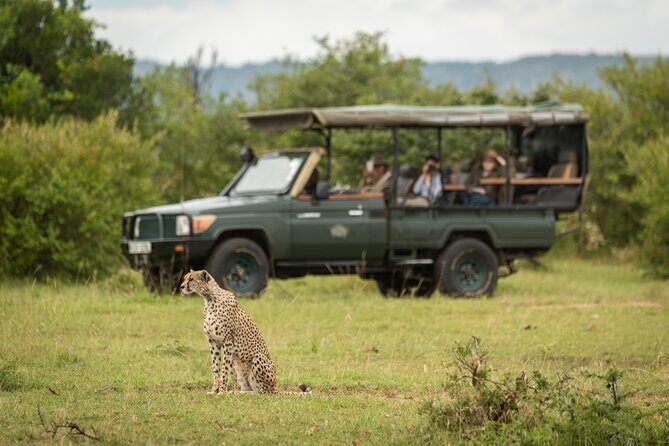 1-Day Fly in Shared Safari to Mikumi National Park from Zanzibar - Final Thoughts