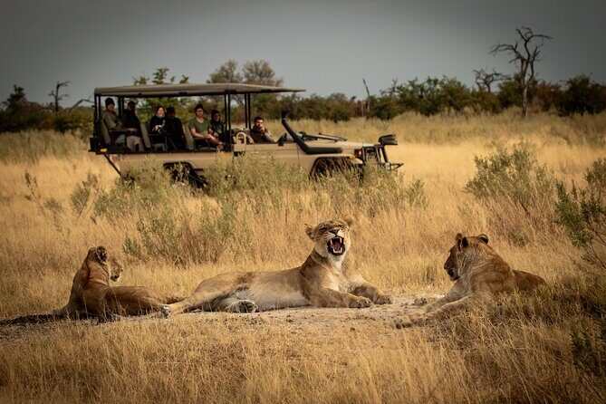 1-Day Fly in Shared Safari to Mikumi National Park from Zanzibar - FAQ