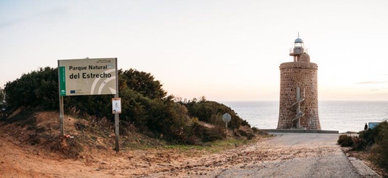1-day-for-vejer-and-the-south-beaches-of-cadiz-in-suv-4x4