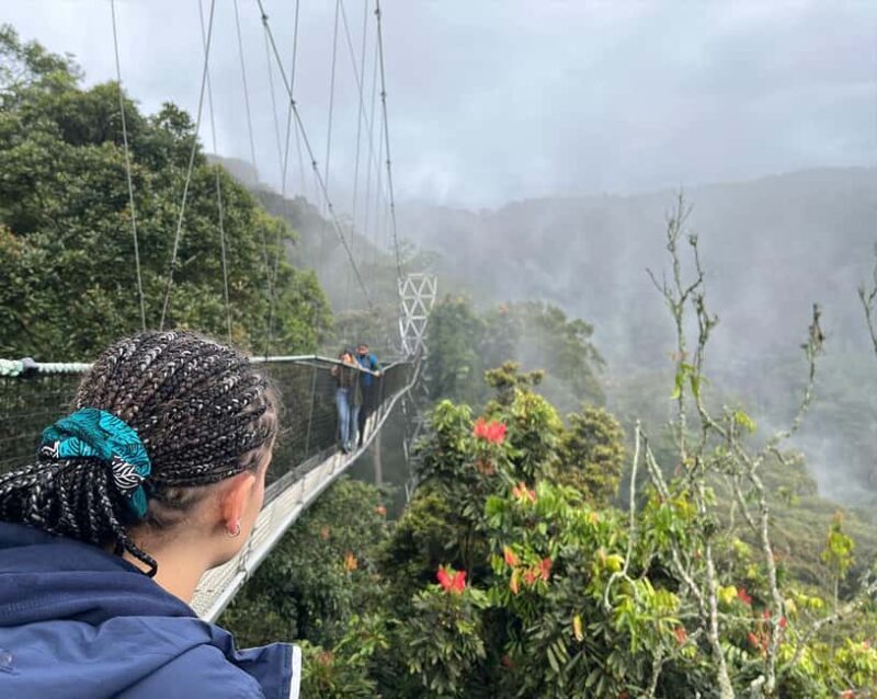 1 day: From Kigali, The canopy walk adventure at Nyungwe - An In-Depth Look at the Nyungwe Canopy Walk Tour