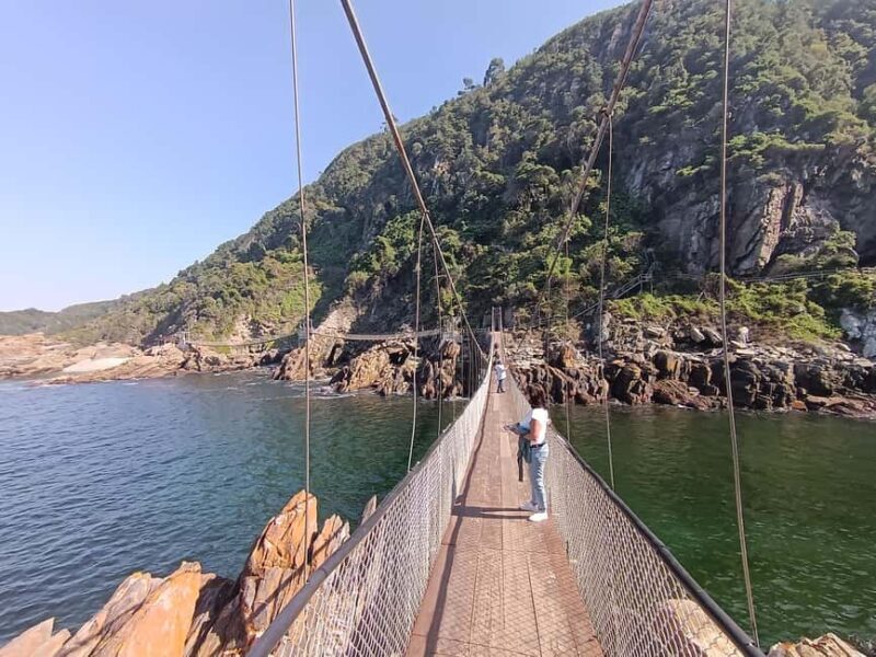 1 Day Garden Route Tour: From Port Elizabeth to the Crags - Exploring the Itinerary: What Makes This Tour Stand Out?