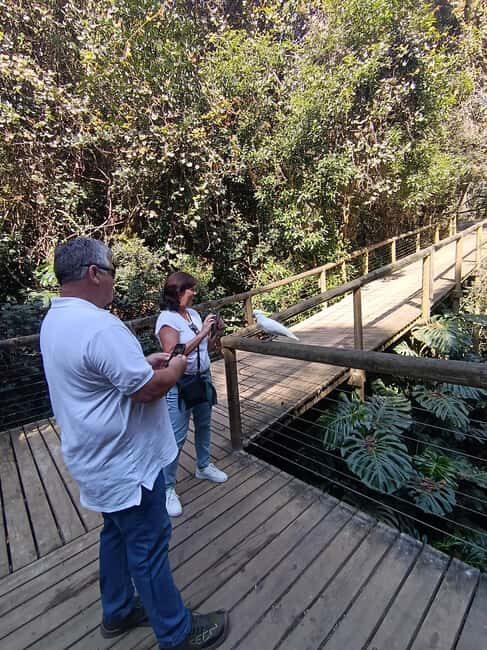 1 Day Garden Route Tour: From Port Elizabeth to the Crags - How the Day Unfolds: A Closer Look at Each Stop