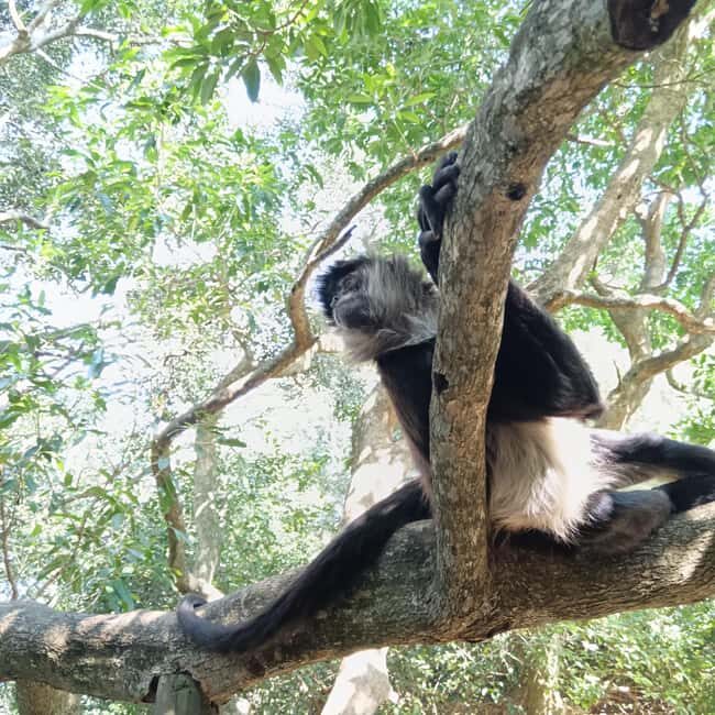 1 Day Garden Route Tour: From Port Elizabeth to the Crags - Final Thoughts