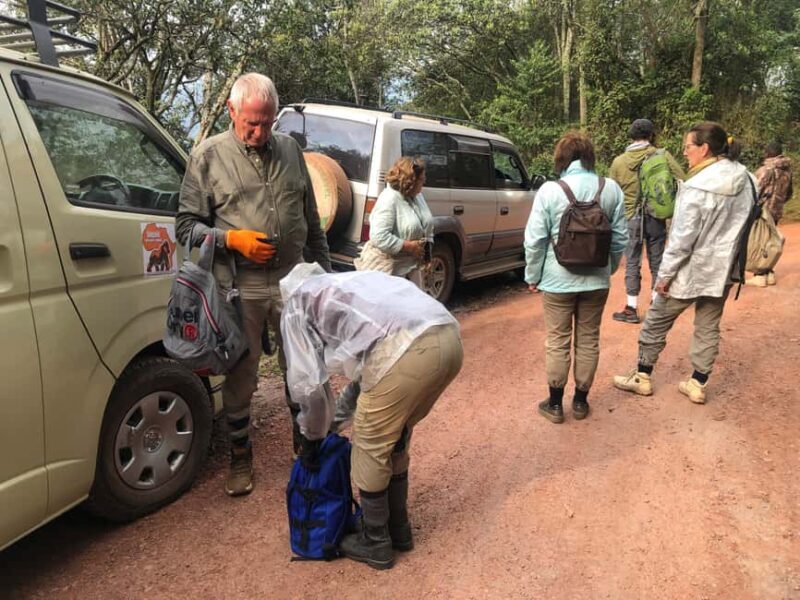 1 Day Gorilla Tour in Bwindi from Kigali - The Itinerary Breakdown: From Kigali to Bwindi