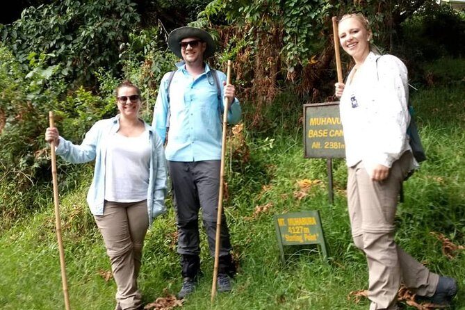 1 Day Gorilla Trekking Uganda - Why This Tour Works for You