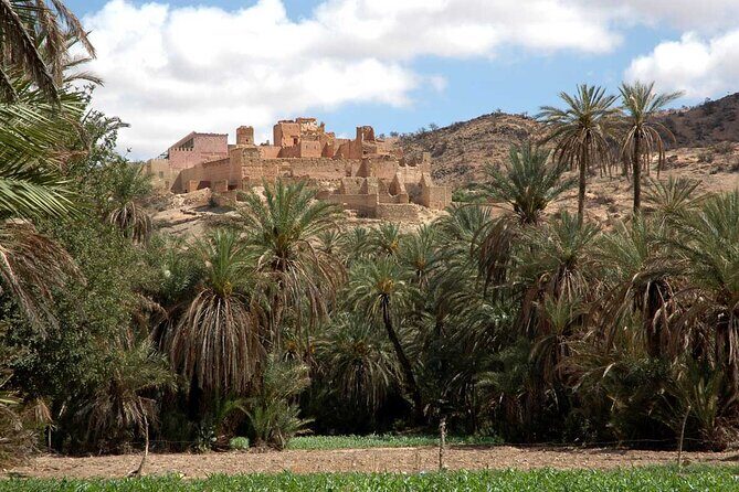 1 day guided tour to tiout tarodant from Agadir - What Travelers Can Expect