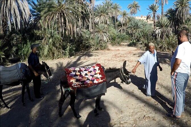 1 day guided tour to tiout tarodant from Agadir - The Practical Side: Booking, Cancellation, and Considerations