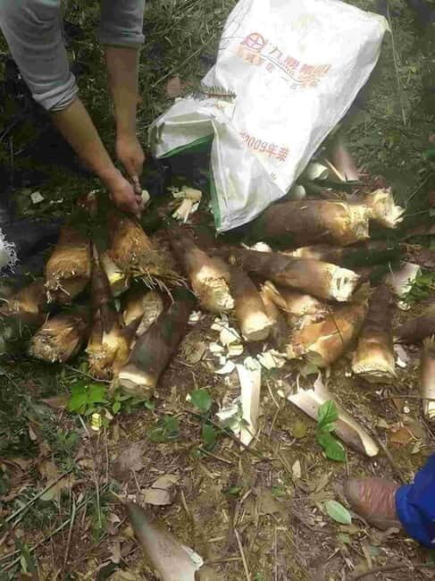 1 Day Guilin Tour: Village Visit, Waterfall Viewing, Hiking - Hiking to the Waterfall: Nature’s Crown Jewel