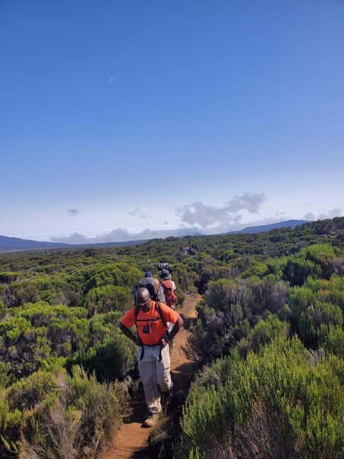 #1-Day Hike Marangu Kilimanjaro Joining Group Tour - In The Sum Up