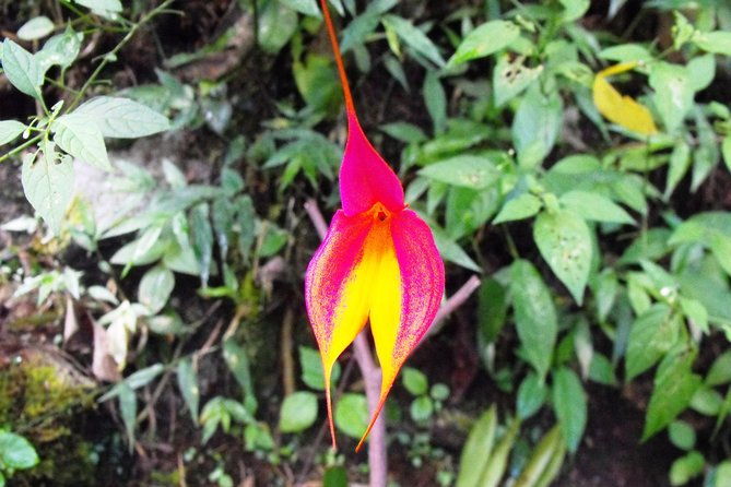 1-day-hike-on-the-inca-trail-1-day-in-machupicchu-private-2-days-tour