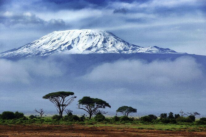 1 Day: Hiking Majestic Kilimanjaro - An In-Depth Look at the Kilimanjaro Day Trip  