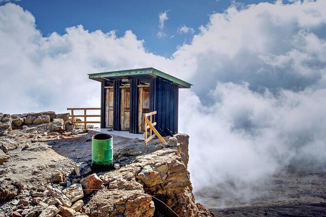 1 Day: Hiking Majestic Kilimanjaro - Authentic Experiences from Travelers  
