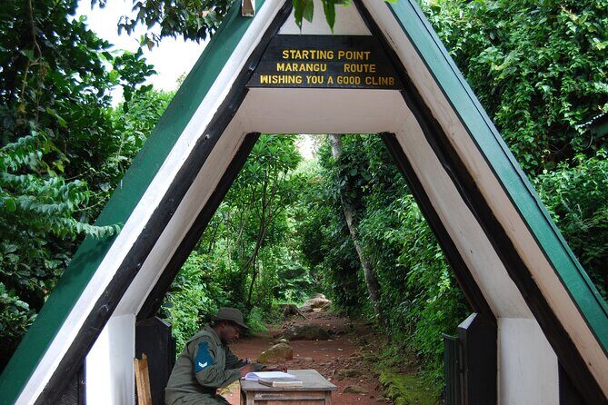 1 Day: Hiking Majestic Kilimanjaro - Final Thoughts  