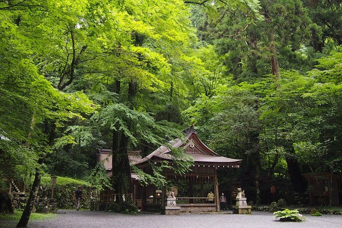 1-day-hiking-tour-in-the-mountains-of-kyoto