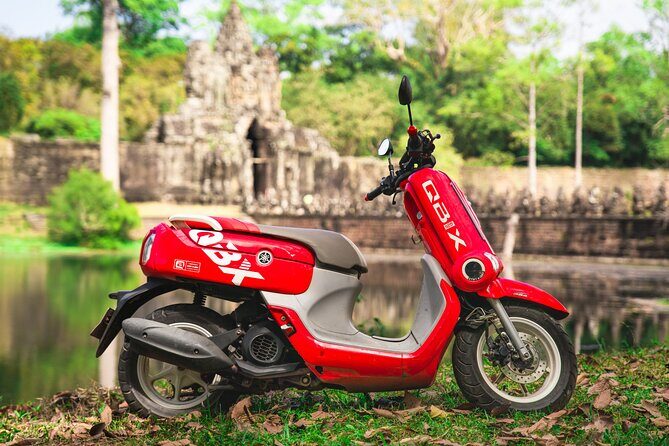 1 Day Honda PCX 150 CC Rental for 24 hours At Siem Reap Scooter - Meeting Point & Timing