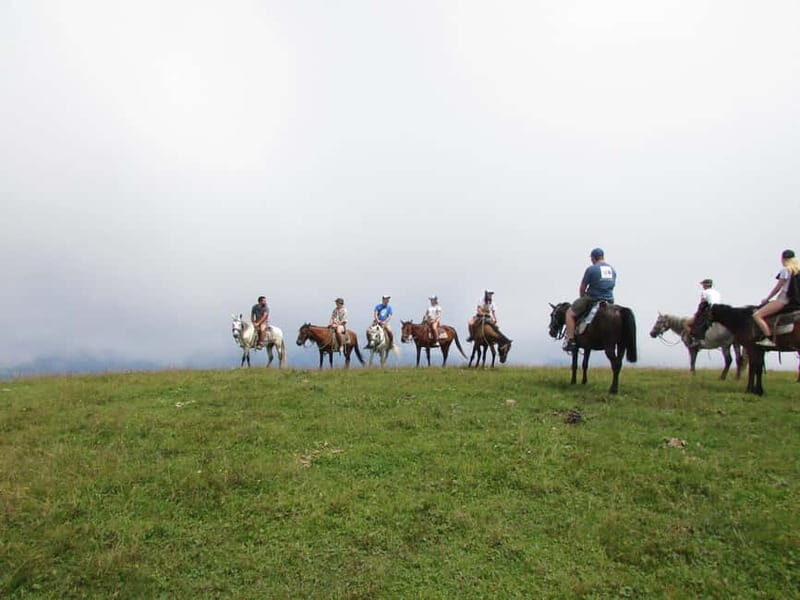 1 Day Horse Riding Adventure in Borjomi Mountains - Exploring the 1 Day Horse Riding Adventure in Borjomi Mountains