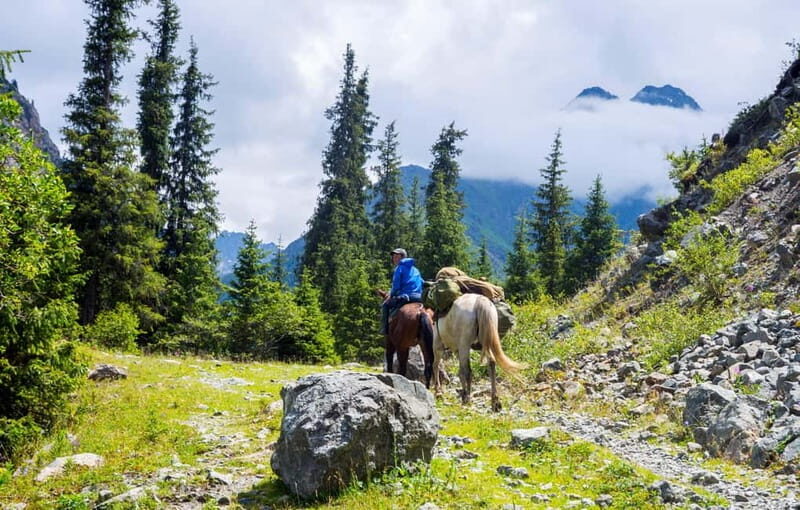 1 Day Horse Riding Adventure in Borjomi Mountains - Pricing and Value