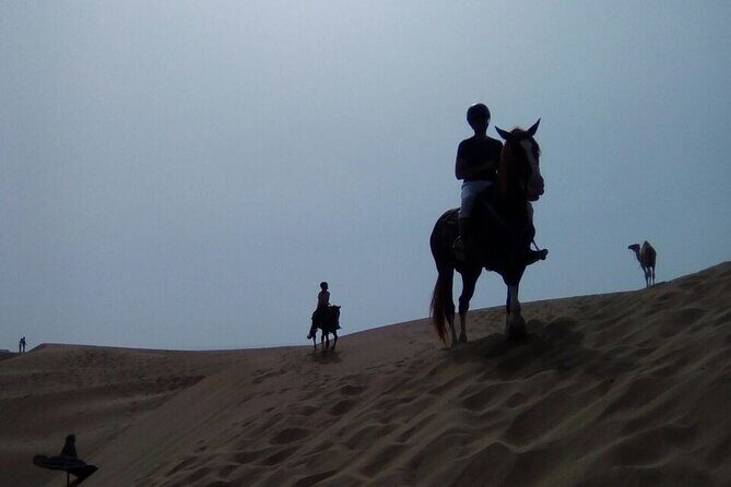 1 day horseback ride with lunch - What to Expect from the Tour