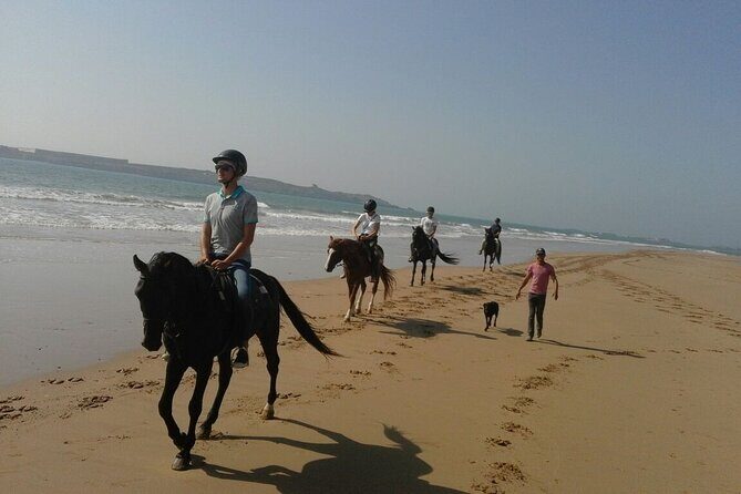 1 day horseback ride with lunch - The Practical Details