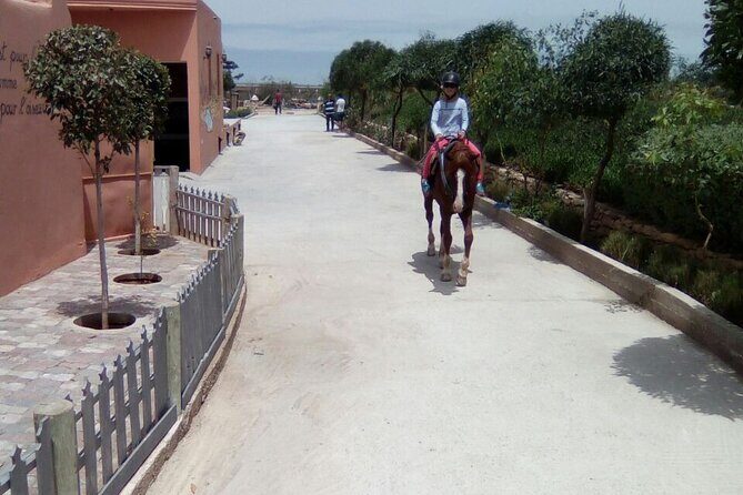 1 day horseback ride with lunch - Who Will Love This Tour