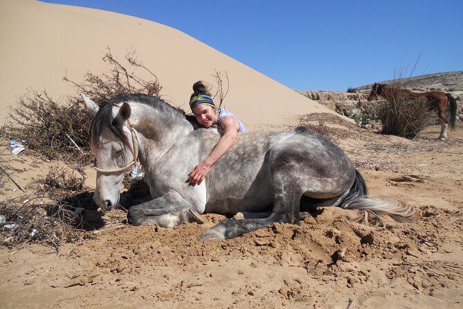 1 day horseback ride with lunch - Final Thoughts