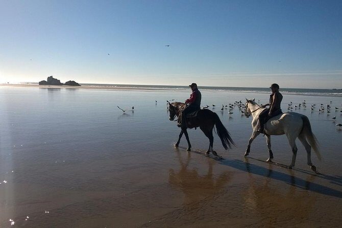 1 day horseback ride with lunch - FAQ