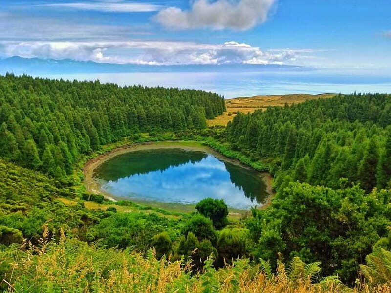 1-day jeep tour on the island of Pico - Azores - Key Points