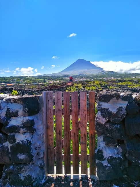 1-day jeep tour on the island of Pico - Azores - FAQs