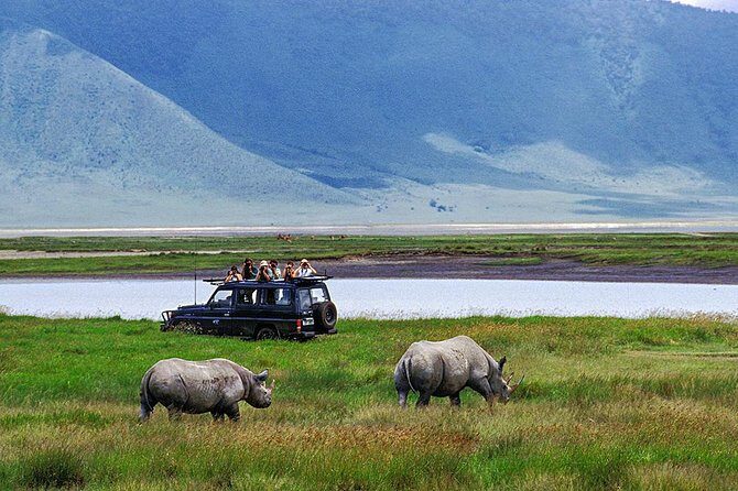 1 Day Joined Group Safari in Ngorongoro Crater National Park - Why We Love This Safari  