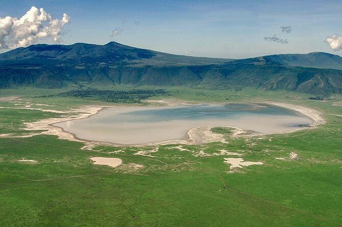 1 Day Joined Group Safari in Ngorongoro Crater National Park - What Reviewers Say  