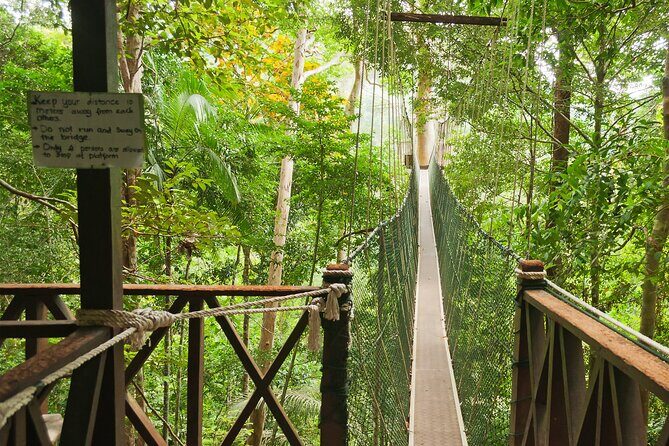 1-Day Jungle Thrill in Taman Negara Tour from KL - Detailed Breakdown of the Itinerary