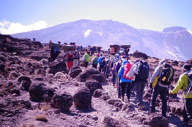 1 Day Kilimanjaro Climb via Machame Route - Key Points