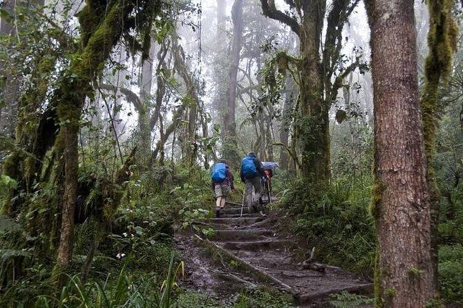 1 Day Kilimanjaro Climb via Machame Route - FAQs