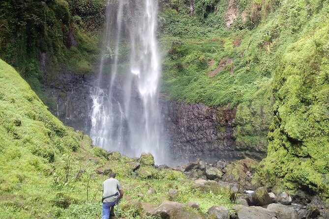 1 Day Kilimanjaro forest (mambori waterfalls). - Key Points