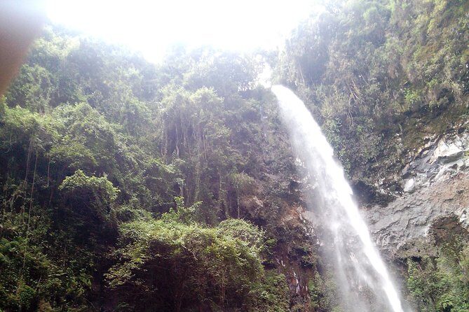 1 Day Kilimanjaro forest (mambori waterfalls). - The Sum Up