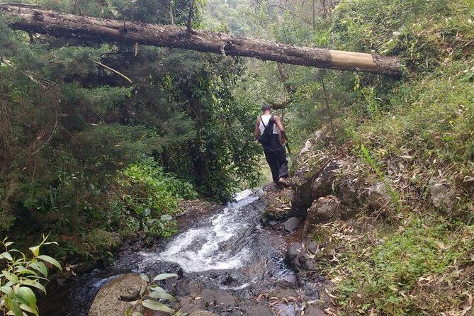 1 Day Kilimanjaro forest (mambori waterfalls). - FAQs