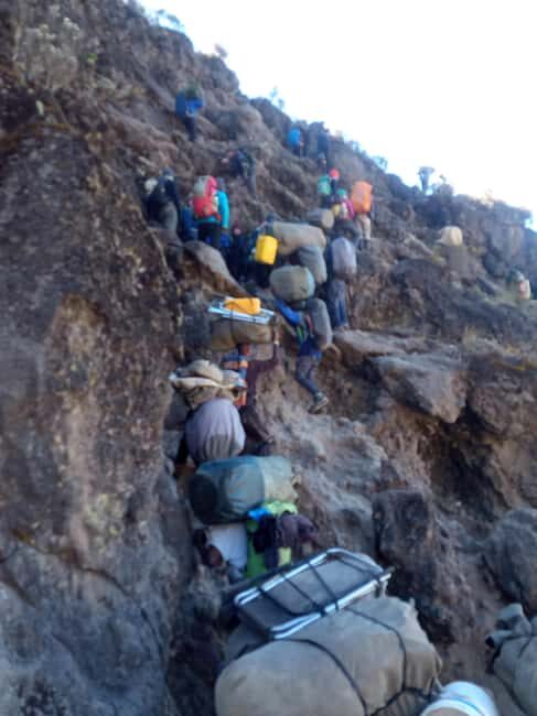 1 day Kilimanjaro Hike Marangu Route from Arusha or Moshi. - What’s Included and What to Expect